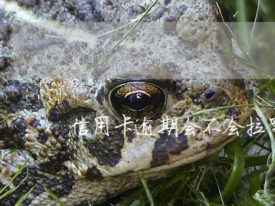信用卡逾期会不会拉黑名单 信用卡逾期会不会拉黑名单