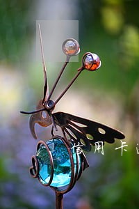 信用卡逾期会不会拍卖房子 信用卡逾期会不会拍卖房子