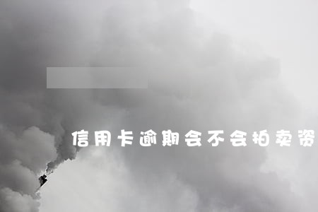 信用卡逾期会不会拍卖资产 信用卡逾期会不会拍卖资产