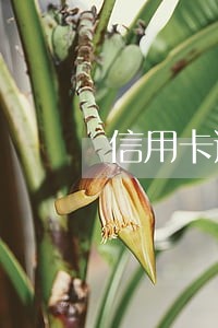 信用卡逾期会不会有滞纳金 信用卡逾期会不会有滞纳金