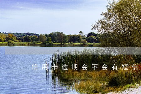 信用卡逾期会不会有短信 信用卡逾期会不会有短信