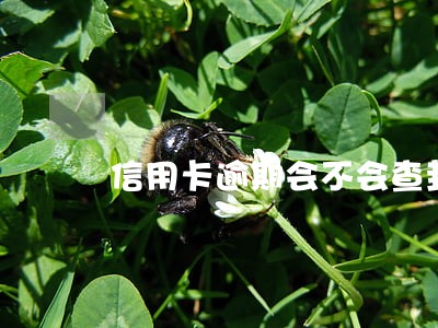 信用卡逾期会不会查封资产 信用卡逾期会不会查封资产
