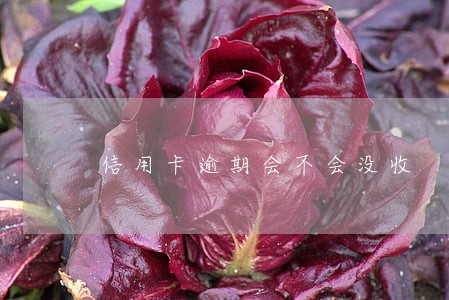 信用卡逾期会不会没收 信用卡逾期会不会没收
