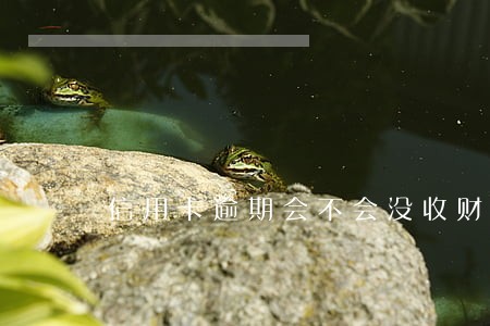信用卡逾期会不会没收财产 信用卡逾期会不会没收财产