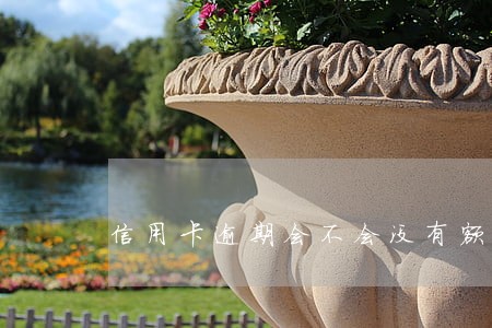信用卡逾期会不会没有额度