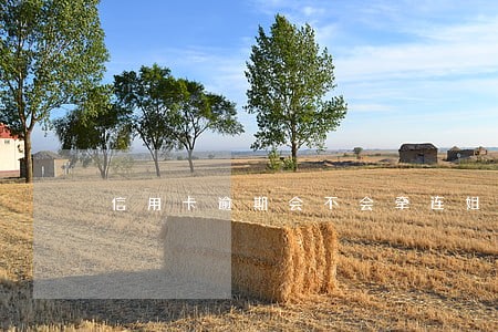 信用卡逾期会不会牵连姐妹
