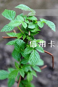 信用卡逾期会不会犯罪 信用卡逾期会不会犯罪