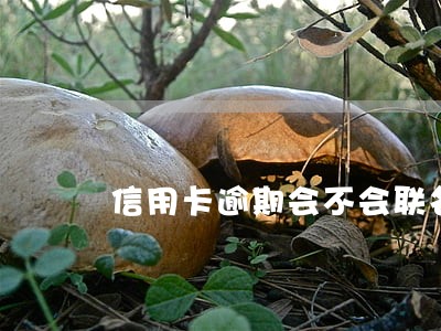 信用卡逾期会不会联名起诉 信用卡逾期会不会联名起诉