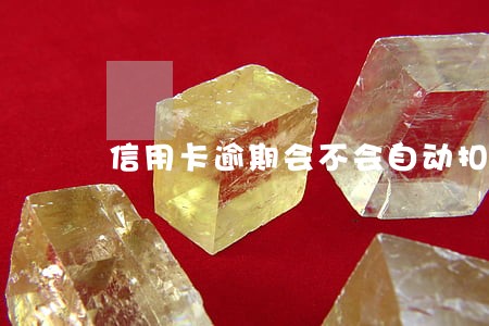 信用卡逾期会不会自动扣费 信用卡逾期会不会自动扣费