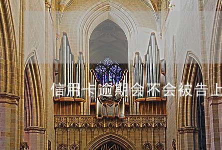 信用卡逾期会不会被告上法庭 信用卡逾期会不会被告上法庭