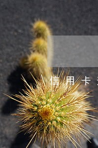 信用卡逾期会不会被媒体曝光 信用卡逾期会不会被媒体曝光