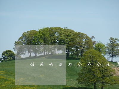 信用卡逾期会不会被法院起诉 信用卡逾期会不会被法院起诉