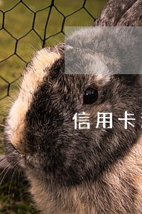 信用卡逾期会不会起诉家人