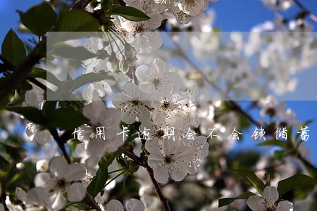 信用卡逾期会不会锁储蓄卡 信用卡逾期会不会锁储蓄卡