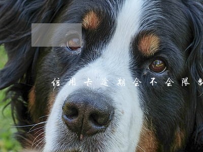 信用卡逾期会不会限制出国 信用卡逾期会不会限制出国