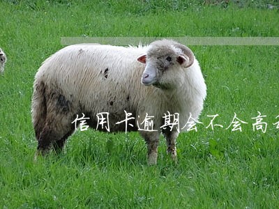 信用卡逾期会不会高利贷那样 信用卡逾期会不会高利贷那样