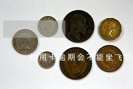 信用卡逾期会不能坐飞机吗