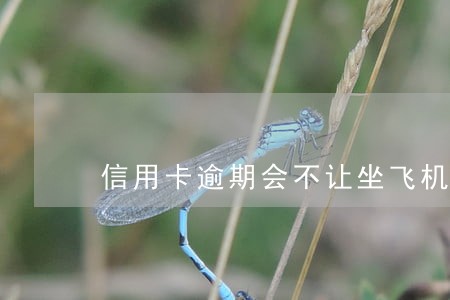 信用卡逾期会不让坐飞机吗