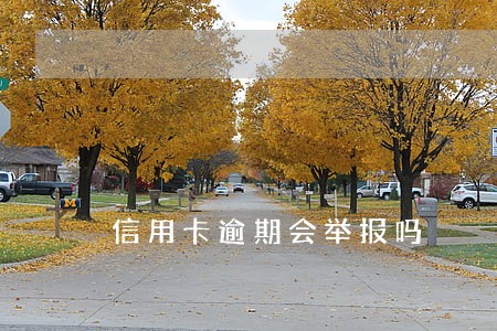 信用卡逾期会举报吗 信用卡逾期会举报吗