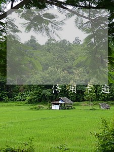 信用卡逾期会乱扣钱吗 信用卡逾期会乱扣钱吗