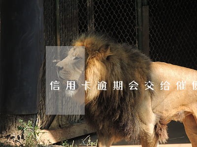 信用卡逾期会交给催债公司吗 信用卡逾期会交给催债公司吗
