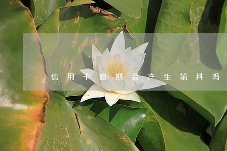 信用卡逾期会产生前科吗 信用卡逾期会产生前科吗