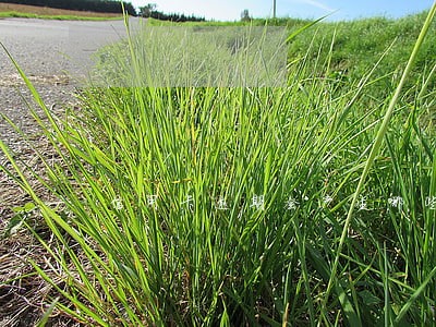 信用卡逾期会产生哪些费用 信用卡逾期会产生哪些费用