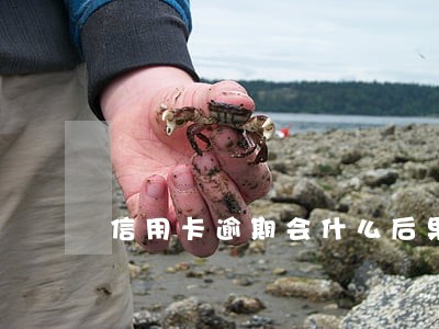 信用卡逾期会什么后果
