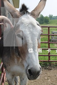 信用卡逾期会介入公安部门吗 信用卡逾期会介入公安部门吗
