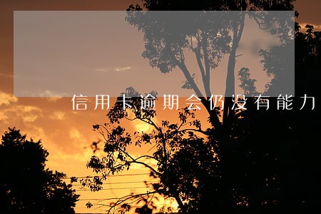 信用卡逾期会仍没有能力还的 信用卡逾期会仍没有能力还的