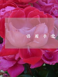 信用卡逾期会从公司公户扣款吗 信用卡逾期会从公司公户扣款吗