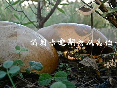 信用卡逾期会从其他卡里扣钱