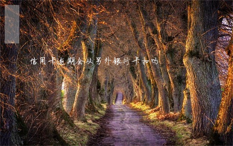 信用卡逾期会从另外银行卡扣吗 信用卡逾期会从另外银行卡扣吗