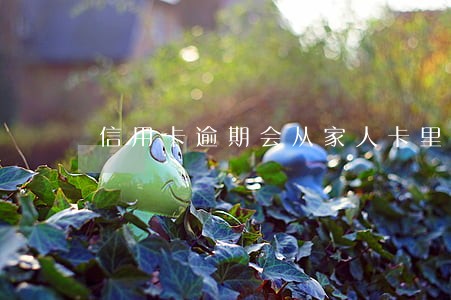 信用卡逾期会从家人卡里扣钱吗