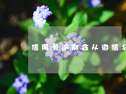 信用卡逾期会从微信划扣吗 信用卡逾期会从微信划扣吗