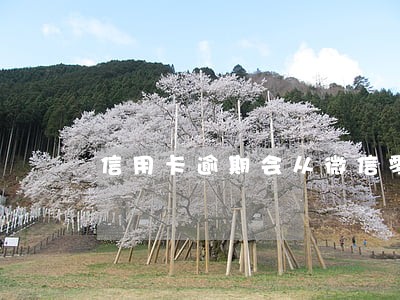 信用卡逾期会从微信零钱扣吗 信用卡逾期会从微信零钱扣吗
