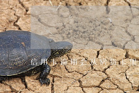 信用卡逾期会从房贷卡里扣钱吗 信用卡逾期会从房贷卡里扣钱吗