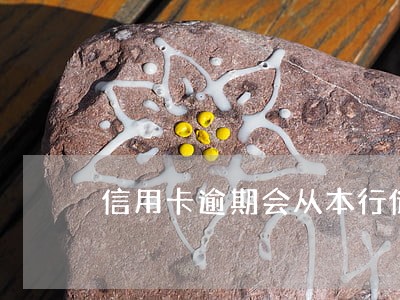 信用卡逾期会从本行储蓄卡扣钱吗 信用卡逾期会从本行储蓄卡扣钱吗