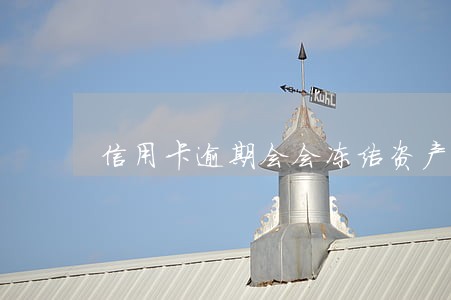 信用卡逾期会会冻结资产