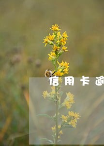 信用卡逾期会会加息吗 信用卡逾期会会加息吗