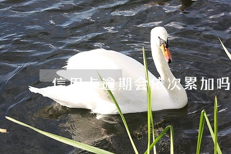 信用卡逾期会依次累加吗 信用卡逾期会依次累加吗