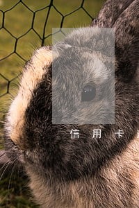 信用卡逾期会做不了飞机吗 信用卡逾期会做不了飞机吗