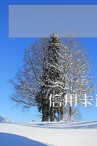 信用卡逾期会停卡多久