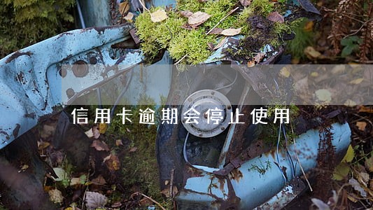 信用卡逾期会停止使用 信用卡逾期会停止使用