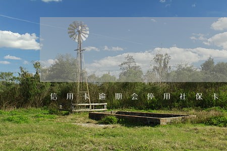 信用卡逾期会停用社保卡吗 信用卡逾期会停用社保卡吗