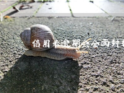 信用卡逾期会全面封掉吗 信用卡逾期会全面封掉吗