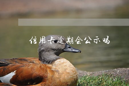 信用卡逾期会公示吗 信用卡逾期会公示吗