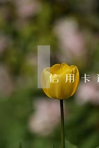 信用卡逾期会公积金影响贷款