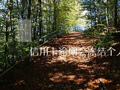 信用卡逾期会冻结个人财产 信用卡逾期会冻结个人财产