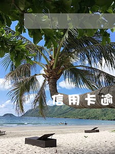 信用卡逾期会冻结个人财产吗 信用卡逾期会冻结个人财产吗